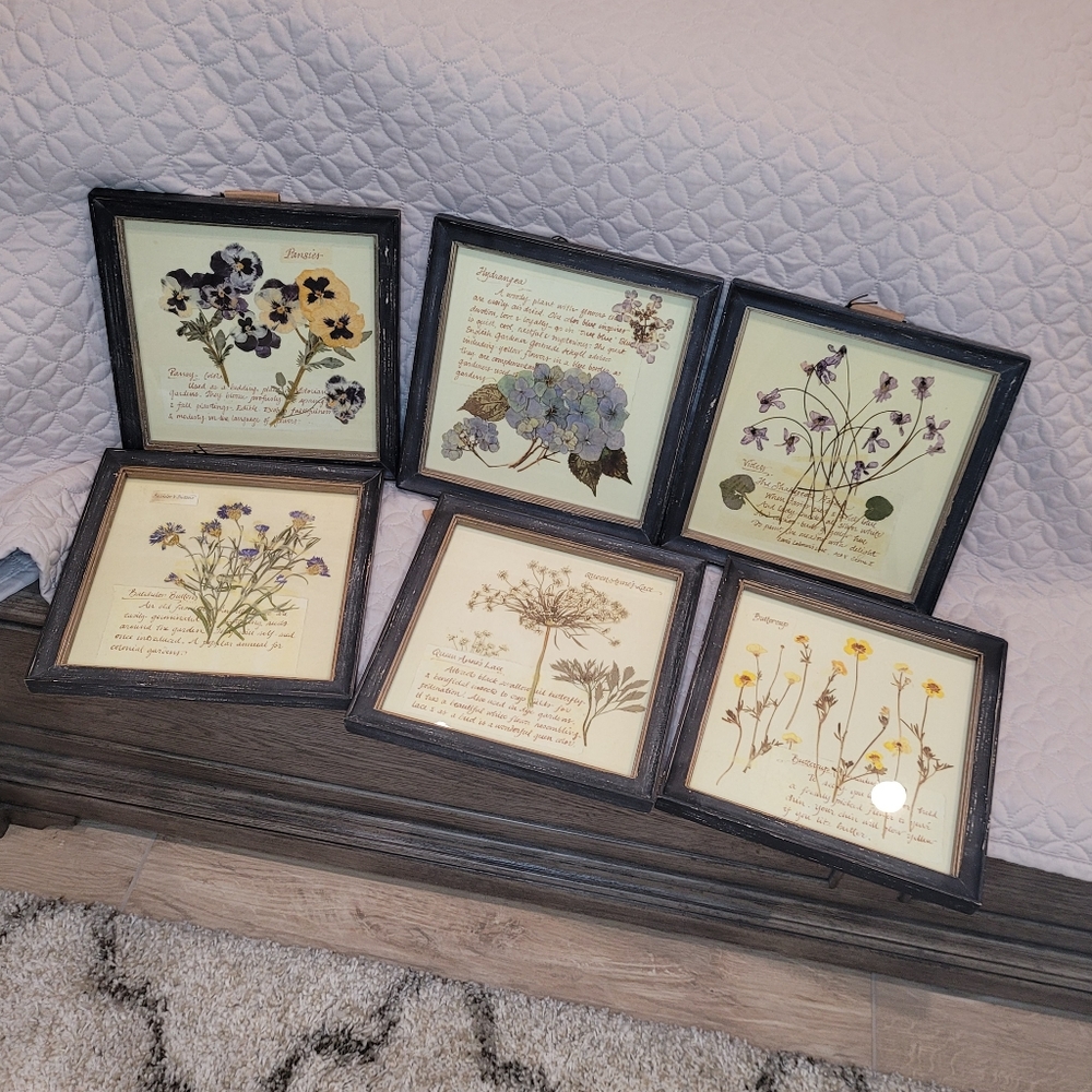 Set of 6 Framed Pictures - New